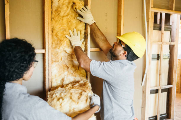 Insulation Replacement Services in Mart, TX